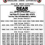nagaland lottery results